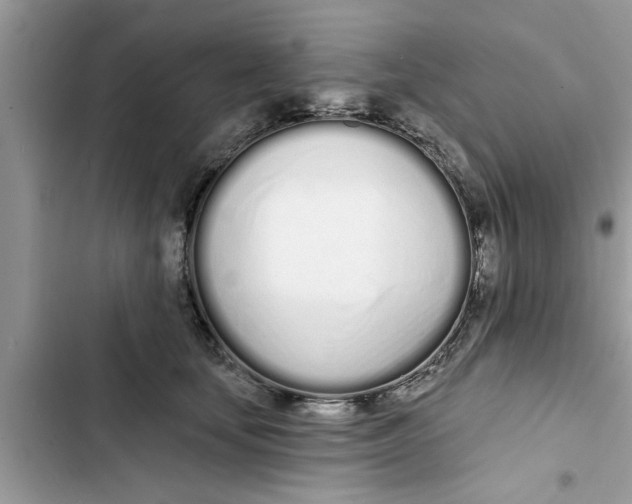 X0000103260659200809191720