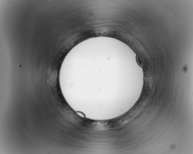 X0000103260660200809191720