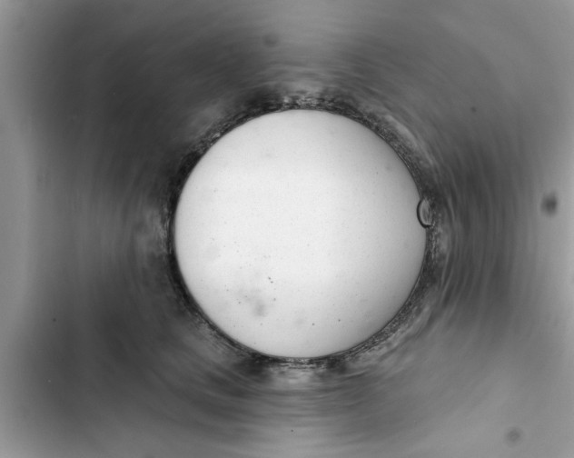 X0000103260661200809191720