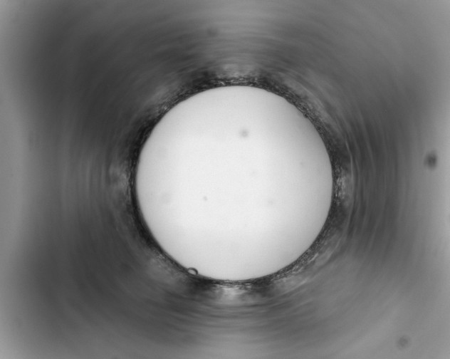 X0000103260662200809191720