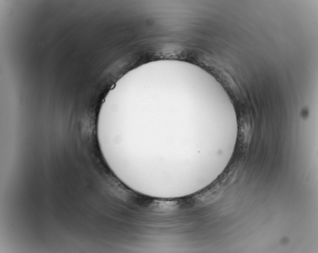 X0000103260665200809191720