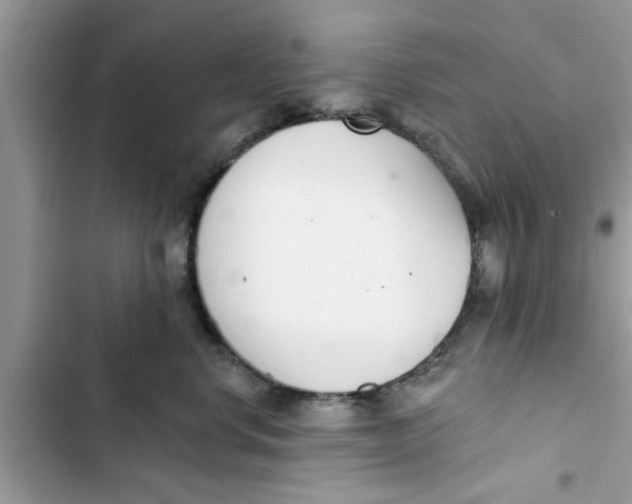 X0000103260668200809191720