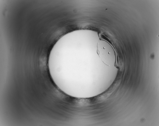 X0000103260670200809191720