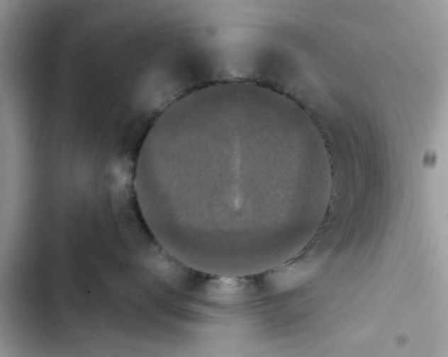 X0000103260672200809191720