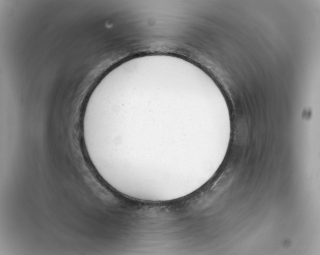 X0000103260673200809191719