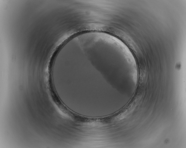 X0000103260674200809191719