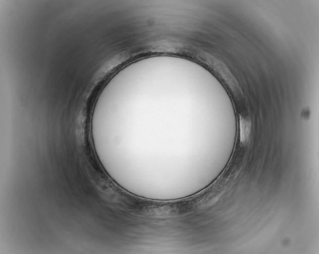 X0000103260675200809191719