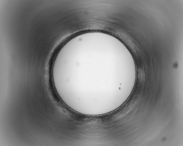 X0000103260676200809191719