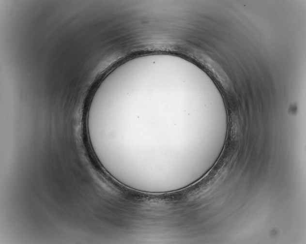 X0000103260677200809191719