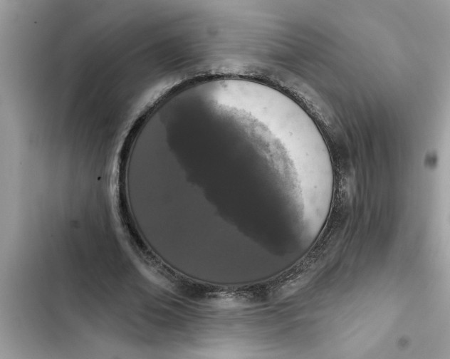 X0000103260678200809191719