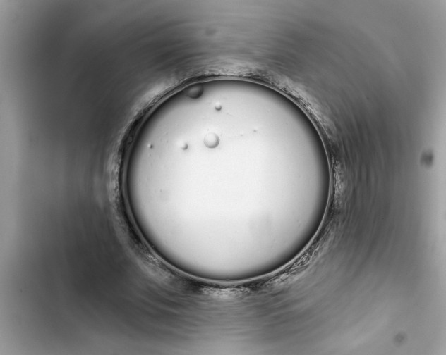 X0000103260679200809191719