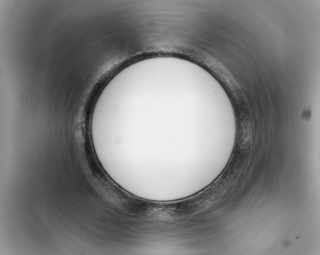 X0000103260680200809191719