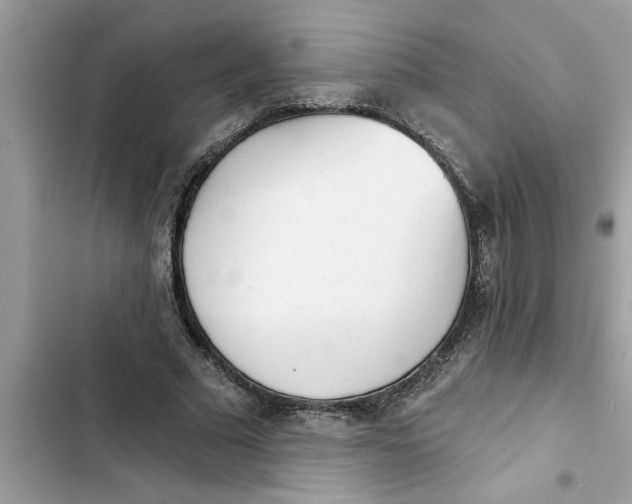 X0000103260681200809191719