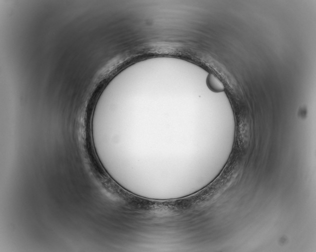 X0000103260682200809191719