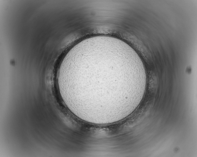 X0000103260683200809191719