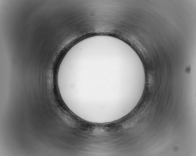 X0000103260684200809191719