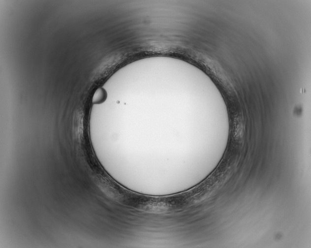 X0000103260685200809191719