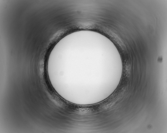 X0000103260686200809191719