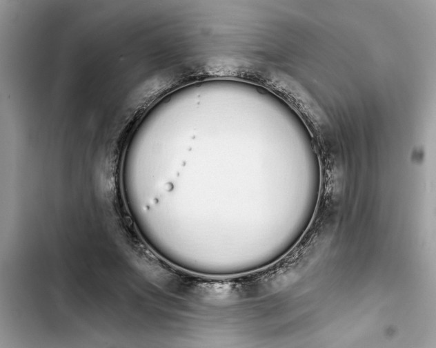 X0000103260687200809191719