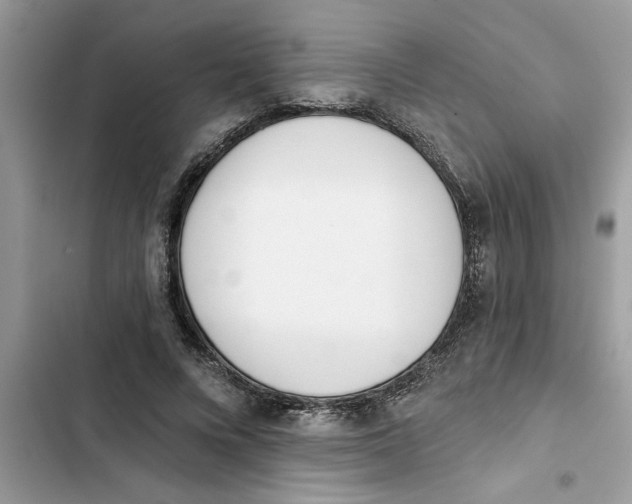 X0000103260688200809191719