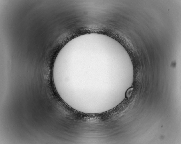 X0000103260689200809191719