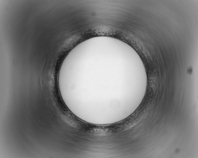 X0000103260690200809191719