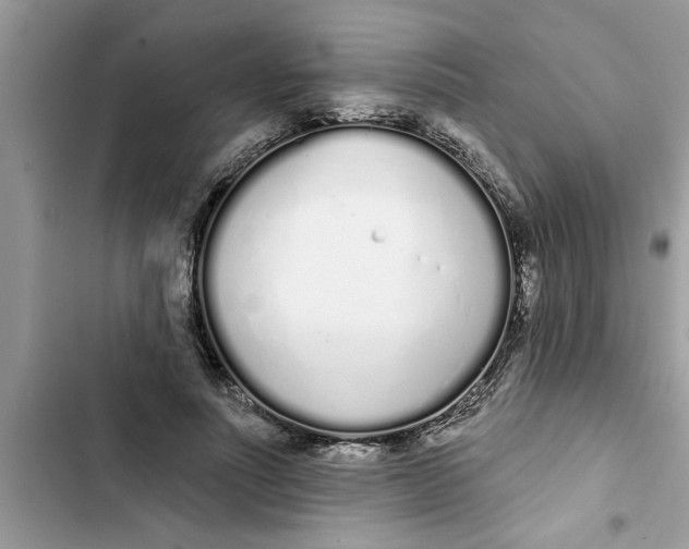 X0000103260691200809191719