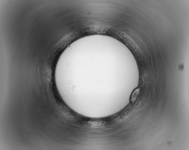 X0000103260693200809191719