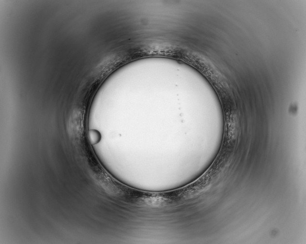 X0000103260695200809191719