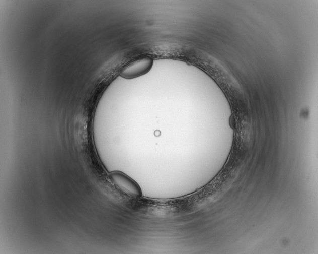 X0000103260696200809191719