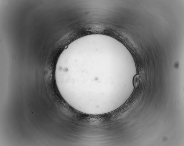 X0000103260697200809191719