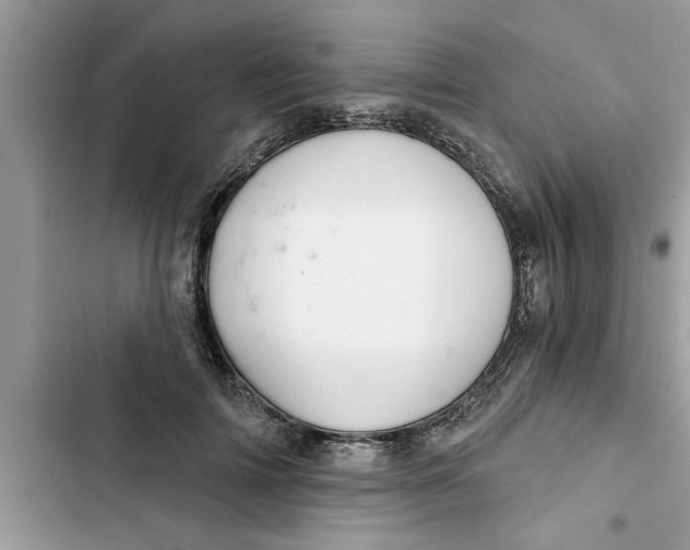 X0000103260698200809191719