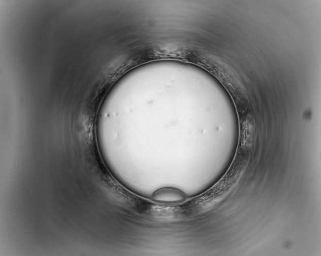 X0000103260699200809191719