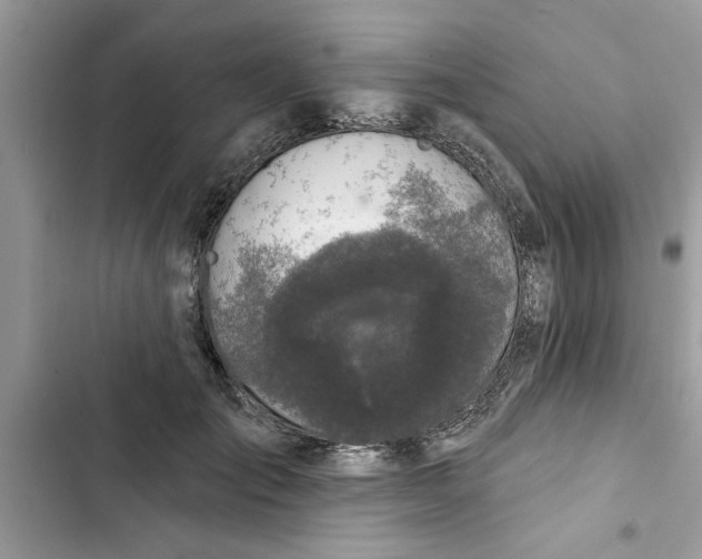 X0000103260701200809191719