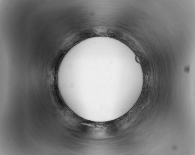 X0000103260702200809191719