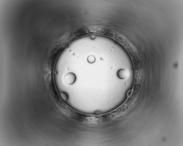 X0000103260703200809191719