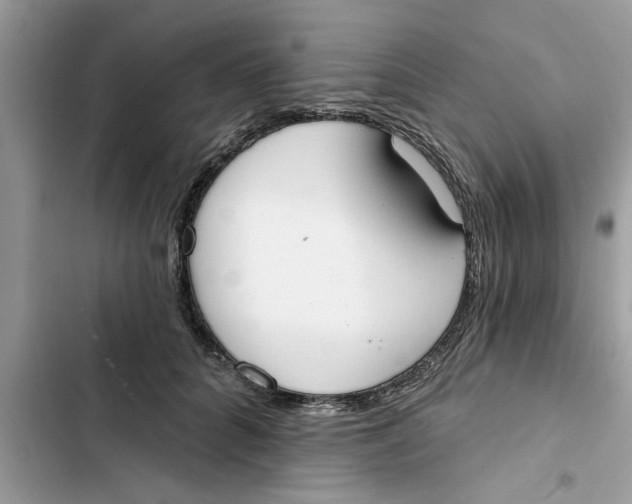 X0000103260704200809191719