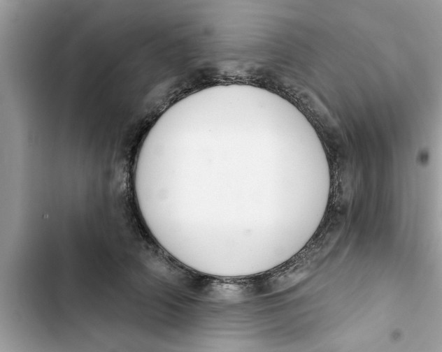 X0000103260706200809191719