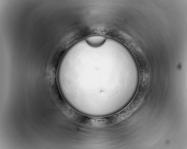 X0000103260707200809191719