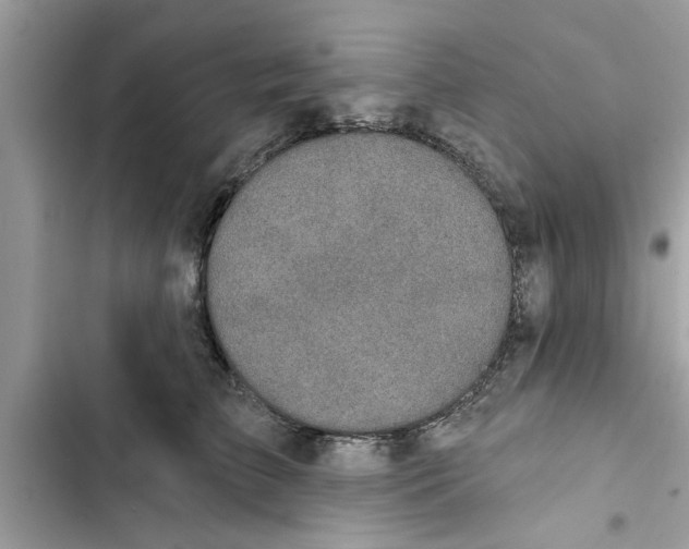 X0000103260709200809191719