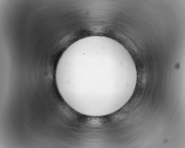 X0000103260710200809191719