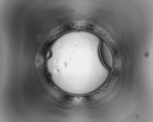 X0000103260711200809191718