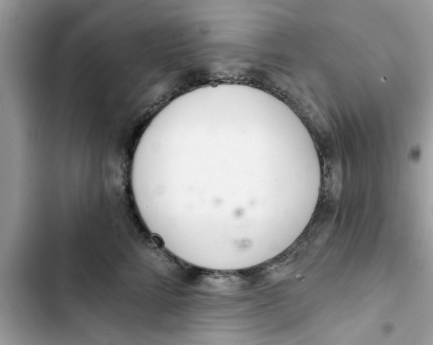 X0000103260712200809191718