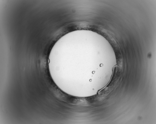 X0000103260715200809191718