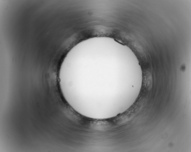 X0000103260716200809191718