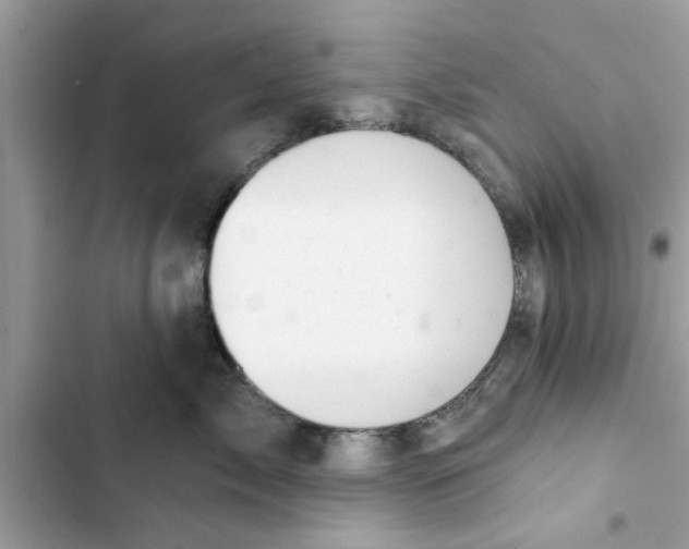 X0000103260717200809191718