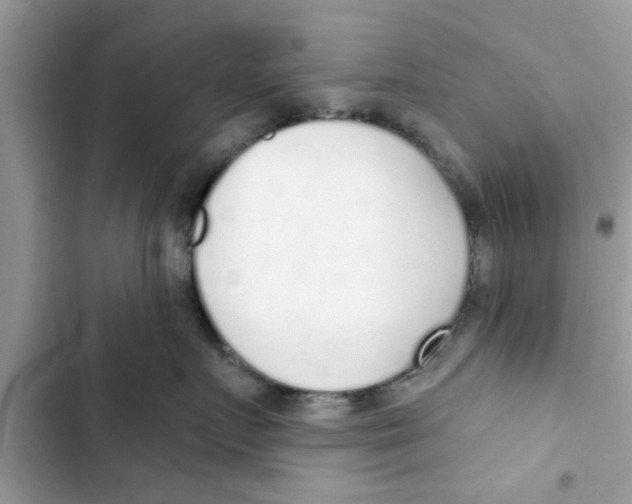 X0000103260719200809191718