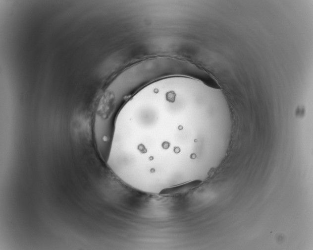 X0000103260720200809191718