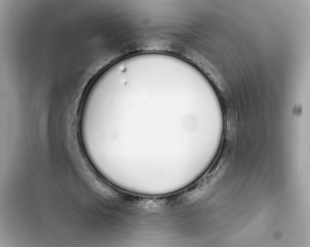 X0000103260721200809191718