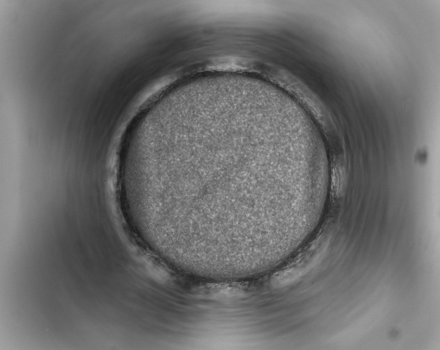 X0000103260724200809191718